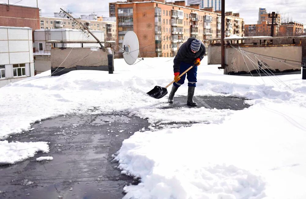 уборка снега прикольные. лопата дворника для уборки снега. уборщик снега. отслеживания снега. откапывает машину из снега.
