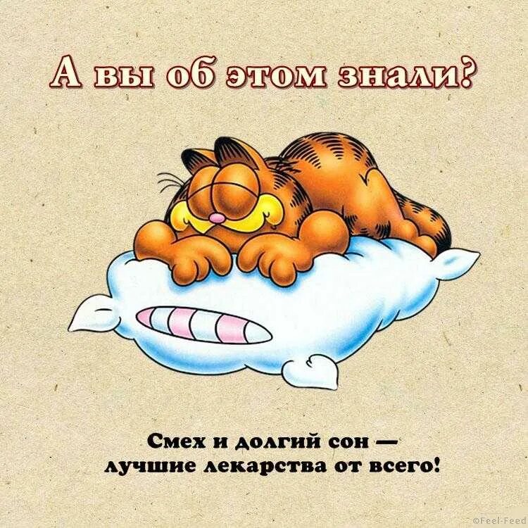 Хорошего воскресного дня с юмором. Крошка ши спокойной ночи. Хорошо выспаться и отдохнуть. Пожелания спокойной ночи мужчине прикольные. Открытки с выходными отдохнуть и выспаться.