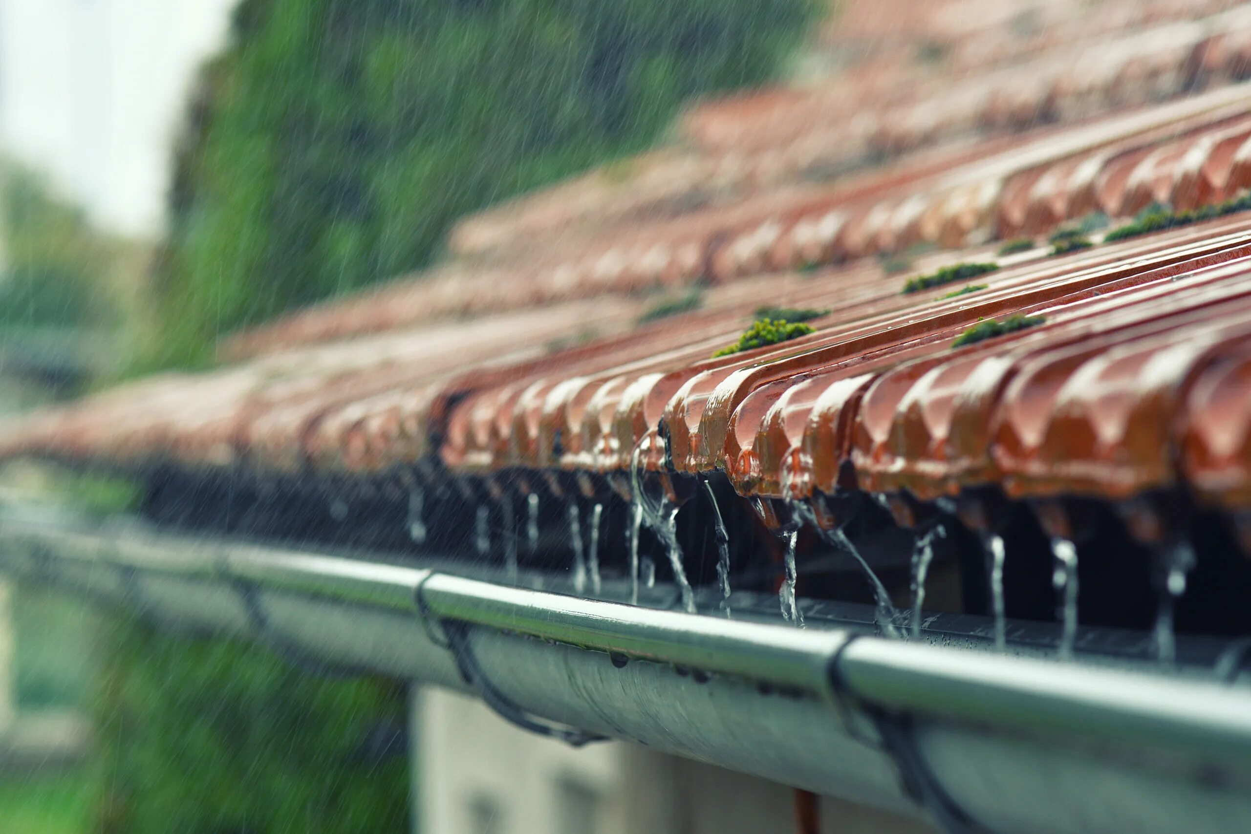Дождь сделавшись совершенно прямым барабанил. Кровля дождь. Дождь по крыше. Крыша под дождем. Дождливая крыша.