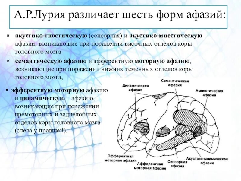 Очаги в коре головного мозга. Лурия задний отдел коры головного мозга. Афазия сенсорная моторная динамическая. Формы афазии по Лурия. Афазия мозг Лурия.