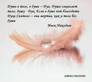 Сколько жизней у души