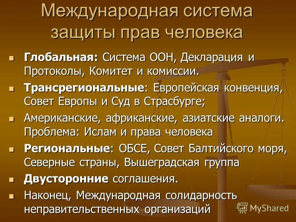 Органы по защите прав человека в рф