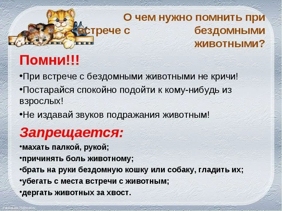 Можно ли научить человека бережному обращению. Правилатповеденияс бездомными животными. Безопасность при общении с животными памятка. Правила поведения с бездомными животными для детей. Безопасность при общении с животными детям.