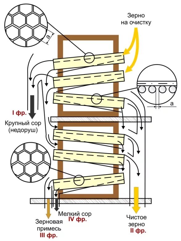 Схема очистки зерна. Очистка зерна от примесей. Процесс очистки зерна от примесей. Линия очистки семян. Очистка зерна от мякины и сора