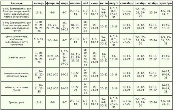 Календарь посадки комнатных растений на март. Лунный календарь для комнатных растений. Календарь пересадки комнатных растений. Лунный календарь на апрель для комнатных цветов. Календарь пересадки комнатных растений на апрель.