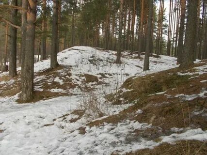 Каменная гора вологодская область