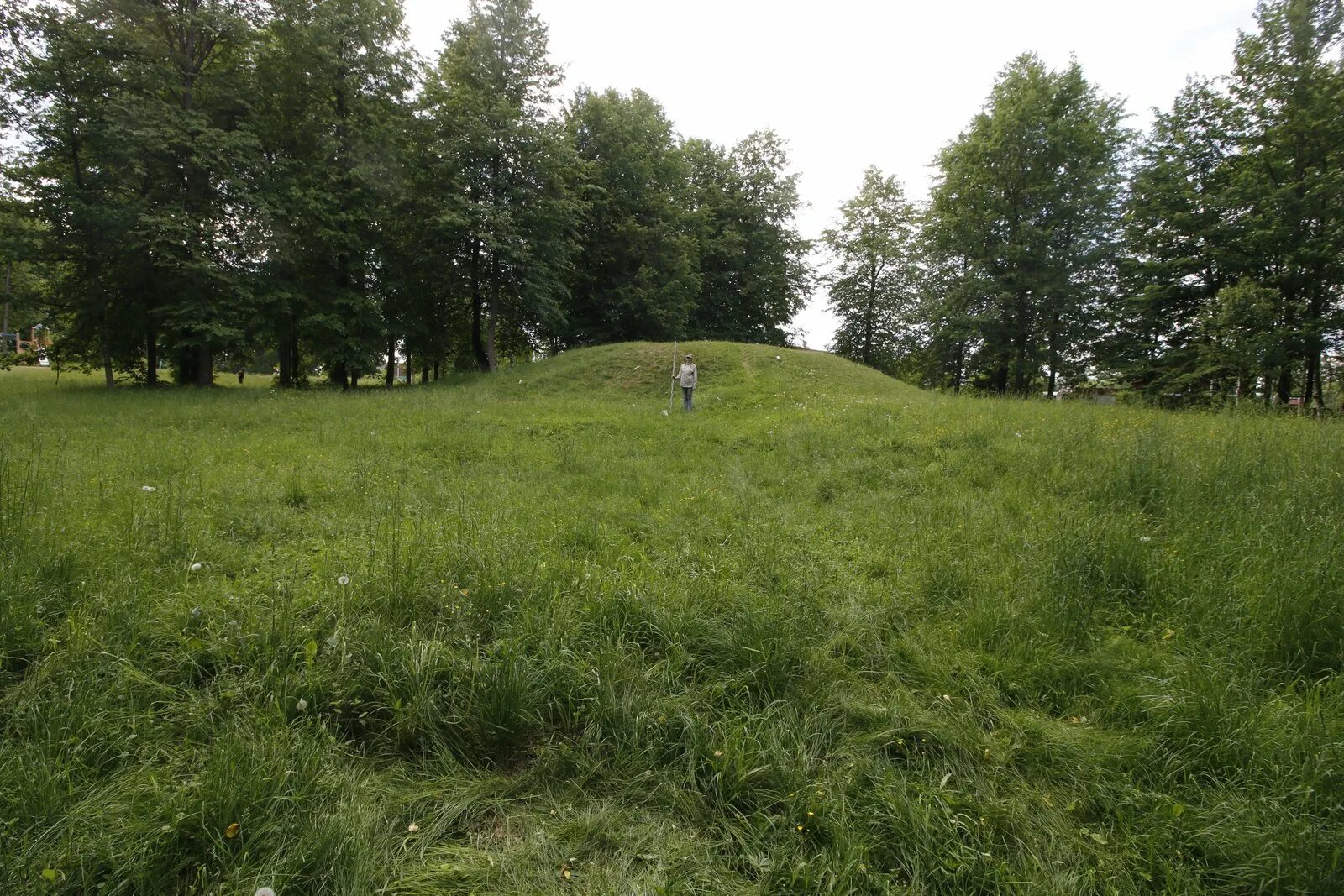 Парки новгородской области. Сопки Новгородская область. Новгородские сопки. Деревня сопка Новгородская. Крестцы парк.