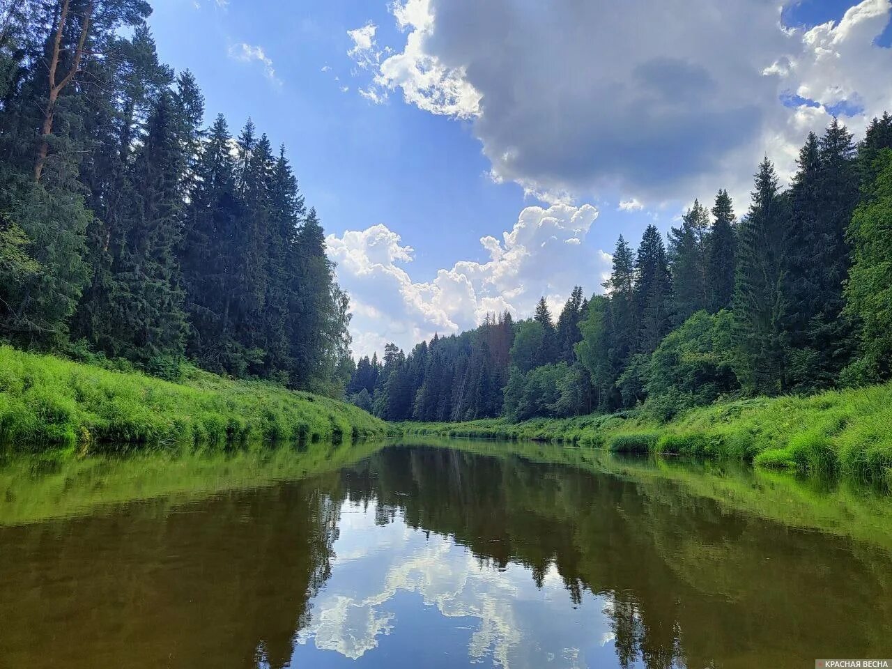 Река мера Ивановская область. Река мера Долматовский. Водоёмы Костромской области. Реки Костромской области. Реки озера костромской области