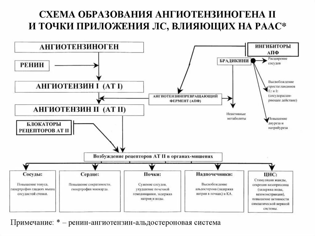 Средства влияющие на ренин ангиотензиновую систему. Точки приложения действия антигипертензивных средств схема. ренин-ангиотензин-альдостероновая система схема. средства влияющие на раас схема. средства влияющие на ренин-ангиотензин-альдостероновую систему.