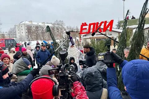 Елочные базары 2023 2024