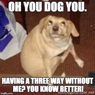 You are dog now