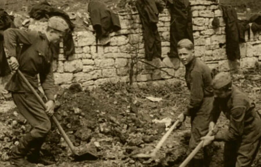 Стройбат вов. Антивоенная демонстрация 1917 тверь. Февральская революция 1917 расстрелы. Солдатские бунты. Русский экспедиционный корпус во франции.