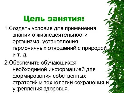 Цель создать условия