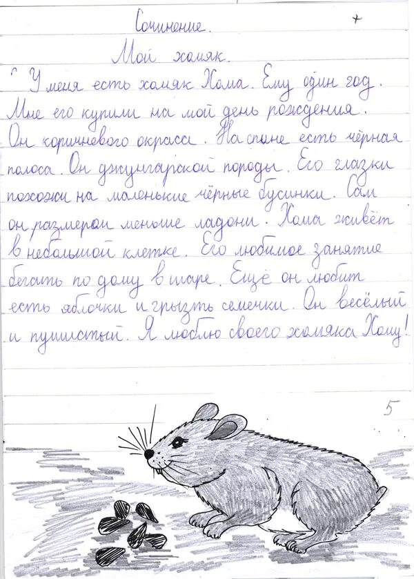 Сочинение на тему мои любимые животные. Сочинение про котенка. Сочинение на тему моё животное хомяк. Сочинение про животных. Сочинение про кошку.