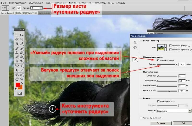Сохранить выделенную область. Уточнить край. Уточнить край в фотошопе. Кисть уточнить края. Фотошоп уточняющая кисть.