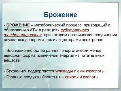 Биохимия бактерий