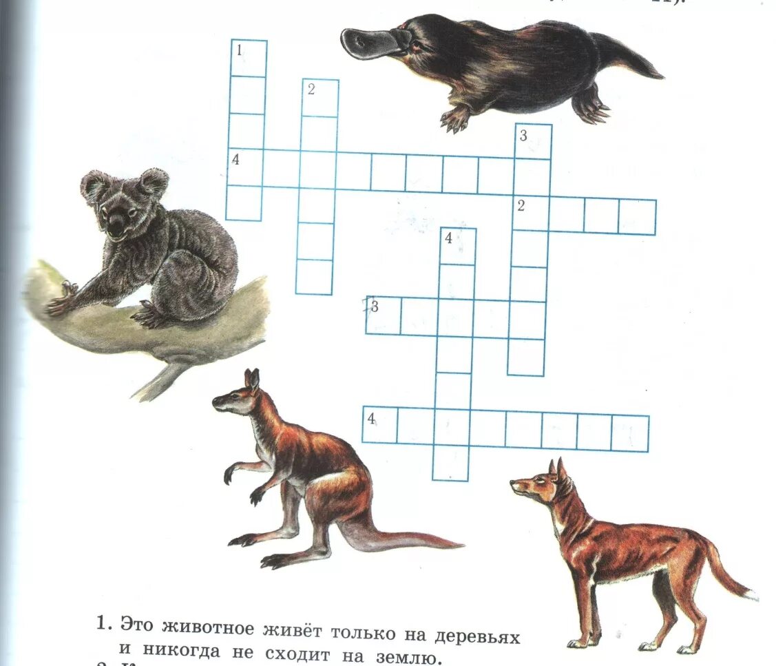 Охота где окружается зверь кроссворд. Кроссворд про животных Австралии. Кроссворд про животных для детей. Детские кроссворды про животных. Задания про животных Австралии.