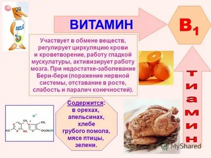 Роль витаминов в химии