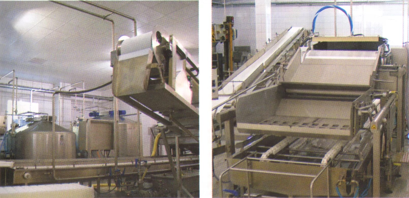 официальном сайте судогодского завода. судогодский молочный завод владимирская область. авдеева молокозавод судогодск. александр шнап гусь хрустальный. судогодский молочный завод директор.