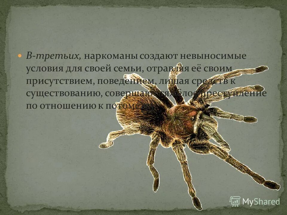 Террористы создают невыносимые условия. Общественная опасность наркомании. Партизаны украины 1941-1944 малоизученные страницы. Книга красные партизаны украины 1941-1944. Социальные опасности.