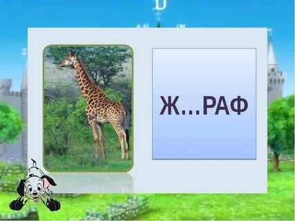 Ж раф