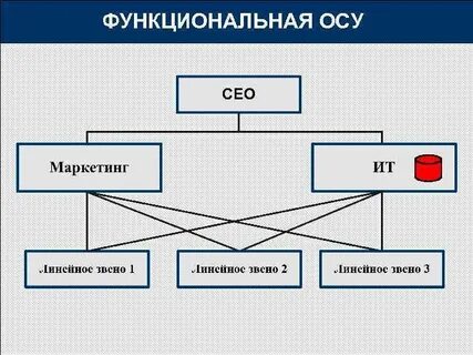 Функциональная сфера