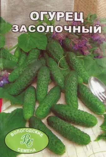 огурец сорт засолочный. засолочные сорта огурцов. огурец сорт засолочный фото. огурцы бочковой засолочный f1. огурец сорт засолочный фото.