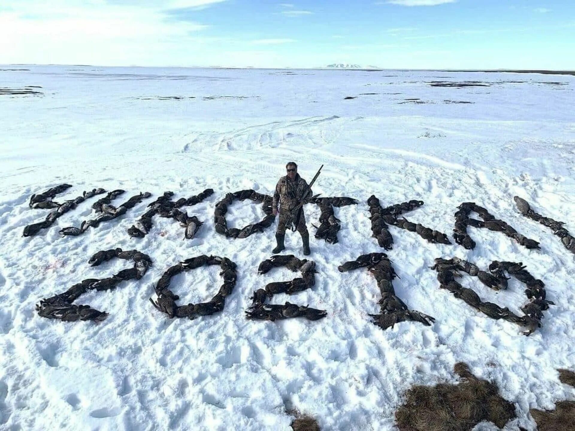 В 2017 году на чукотке. Депутат Чукотка 2021. Надпись из гусей Чукотка 2021. Депутат гуси охота Чукотка.