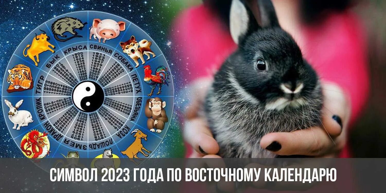 Символ года 2023. Год кролика. Кролик символ года. 2023 Год год какого животного.