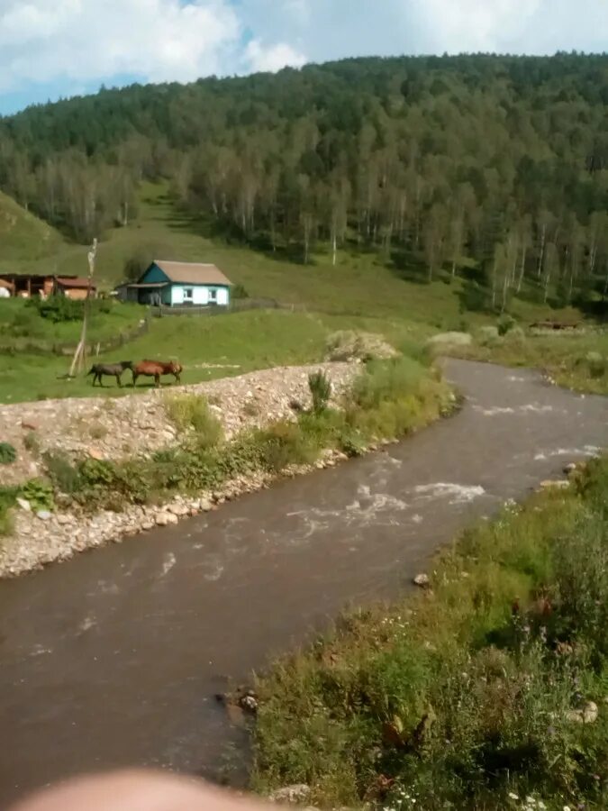 Бирюля республика алтай. Село Бирюля Майминский район. Село Бирюля Республика Алтай. Село Бирюля Майминский район Республика Алтай. Деревня Бирюля горный Алтай.