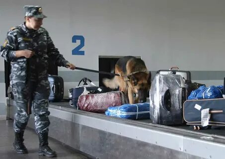 Обыск сумок