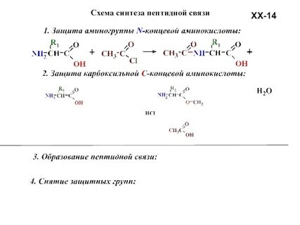 Синтез пептидов