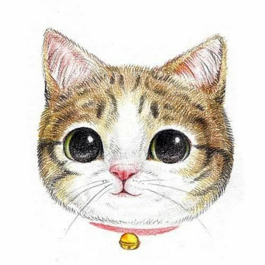 Мордочки котиков нарисованных