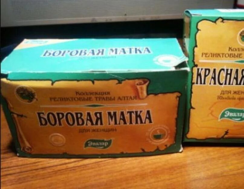 Боровая матка и красная щетка. Баровая матка. Баровая матка и красная щётка. Боровая матка травы Алтая.