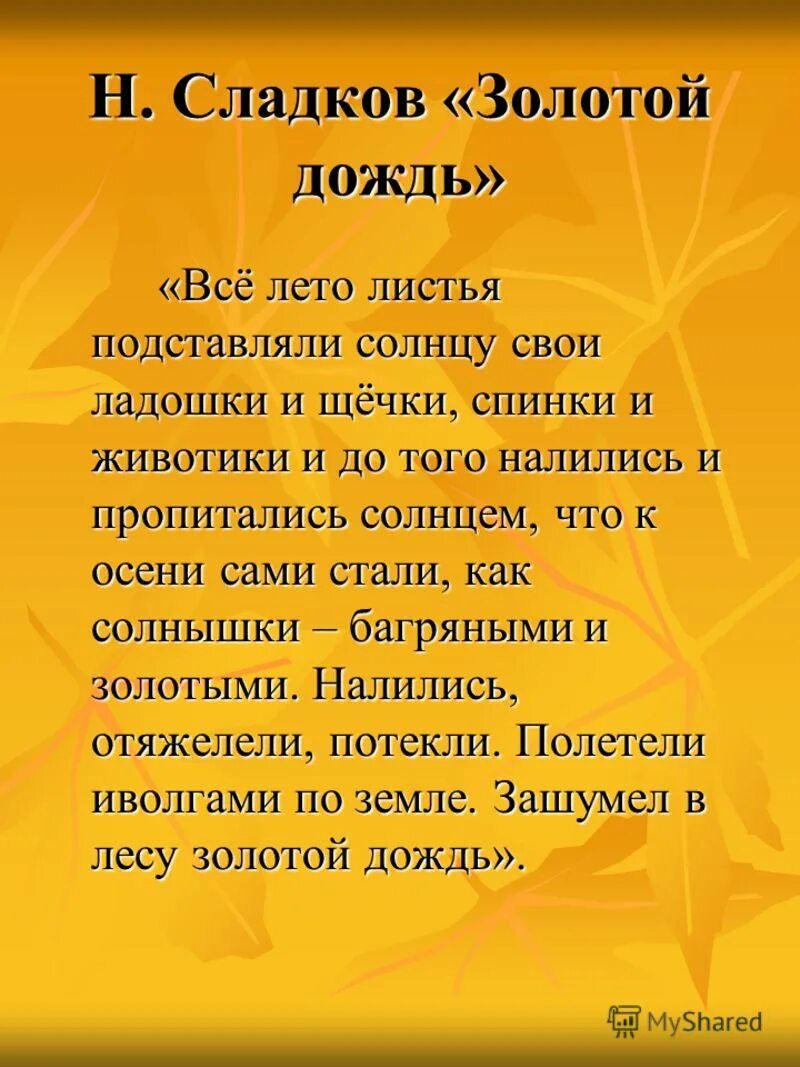 Сладков всё лето листья подставляли солнцу. Сладков ребячьи дожди. Н Сладков всё лето листья. Золотой дождь Сладков. Золотой дождь кому