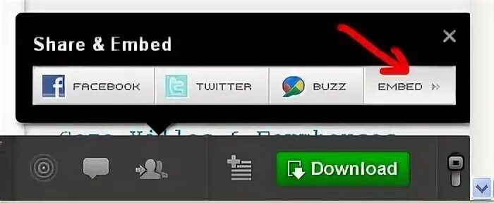 Share embed