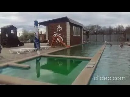 Золотая рыбка краснодарский край