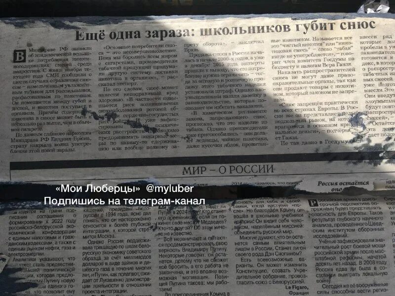 мои люберцы телеграмм