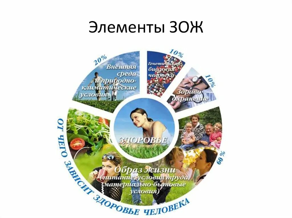 две составляющие здоровья. основные составляющие здоровья человека. две составляющие здоровья. составляющие здорового образа жизни обж таблица. основные составляющие здоровья человека.