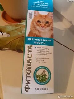 Выведение шерсти у кошек