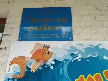 Садик золотая рыбка