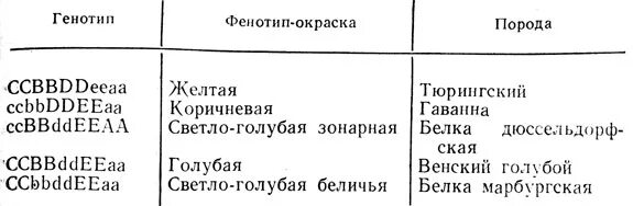 Генетика кроликов. Генетика кроликов окрасы. Окраска кроликов генетика. Генотипы окраски кроликов.