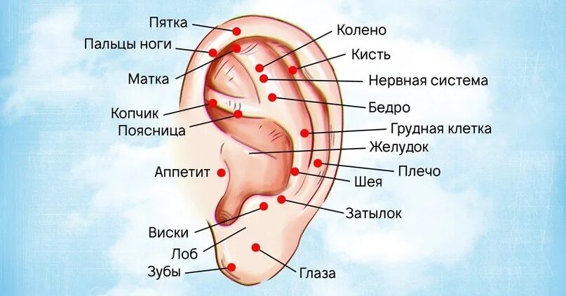 Расположение точек на ухе Пин на доске Jewelry: Crochet