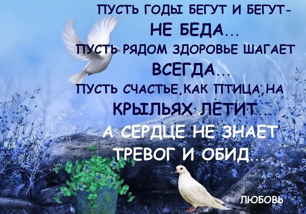 Стихи про года летят. Стихотворение про годы летят. Стихи пролетели годы. Открытки годы пролетают словно птицы.