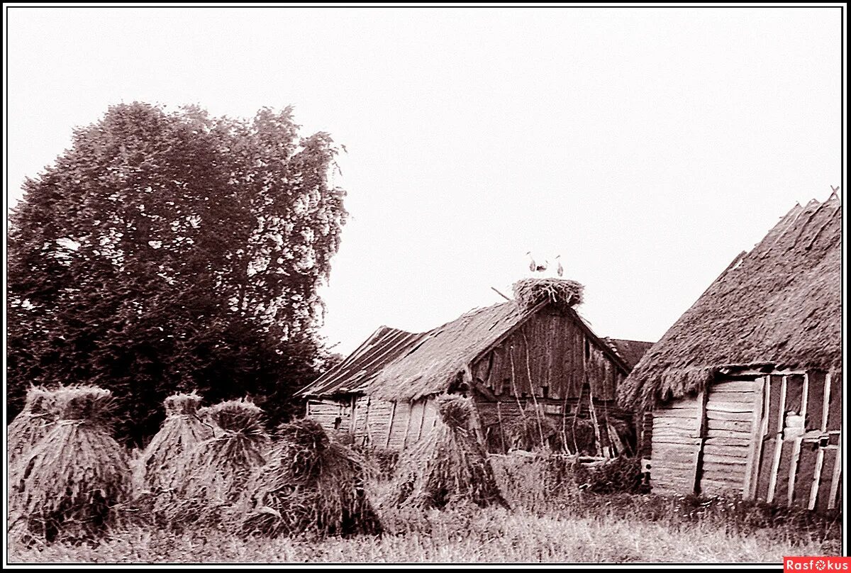 В каком году основан хутор. В каком году основан хутор. Хутор татарский тихий дон. Казачий хутор. Заброшенные села, хутора краснодарского края.