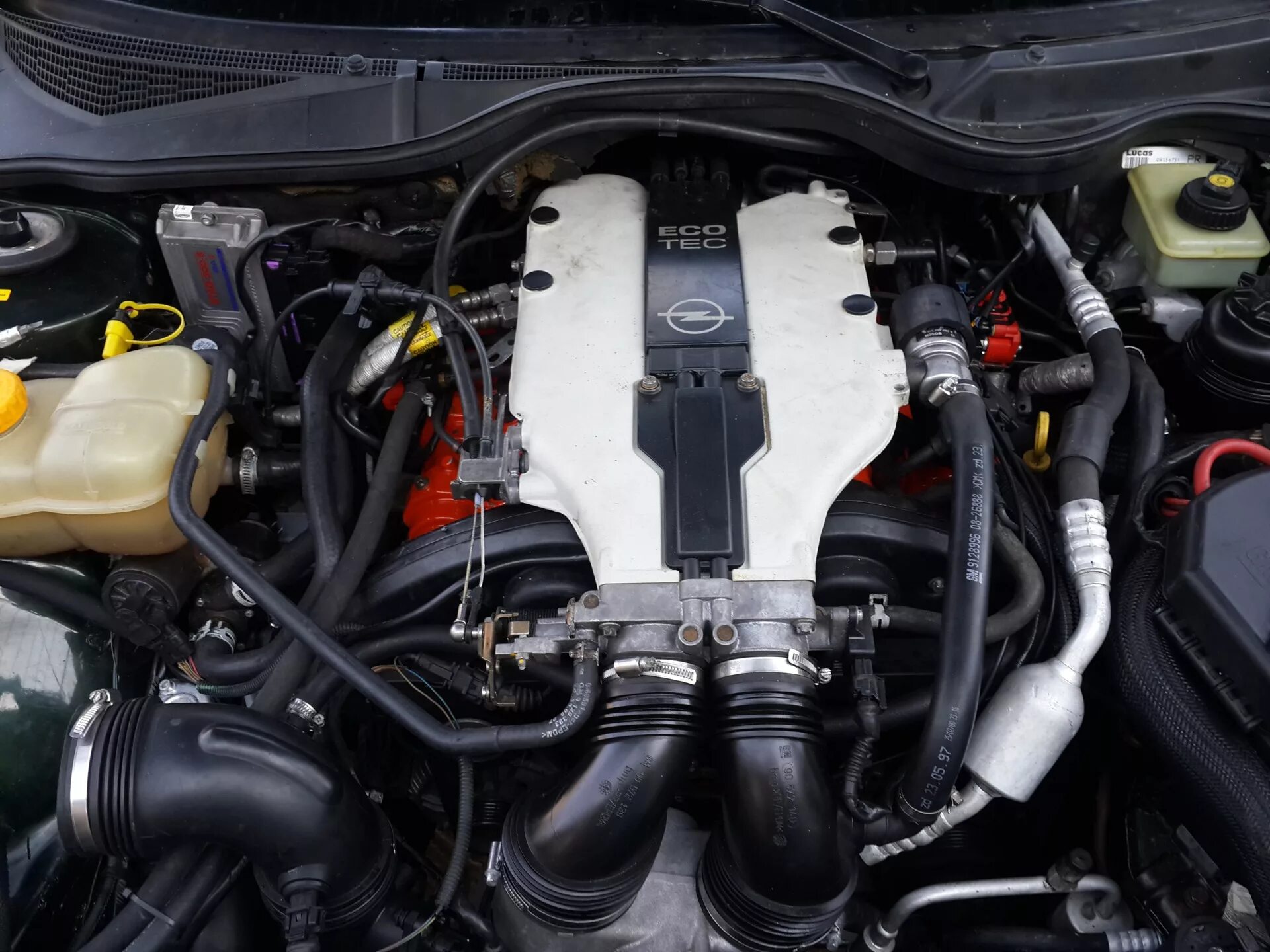 Двигатель опель омега б 2.5. Opel omega b v6 2.5. мотор 2.5 опель омега. опель омега 2.5 v6. мотор опель омега 2.5 v6.