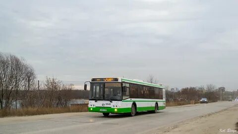 Дорохово марьино автобус