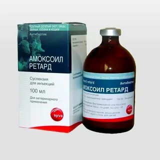 Антибиотики кошкам при инфекции