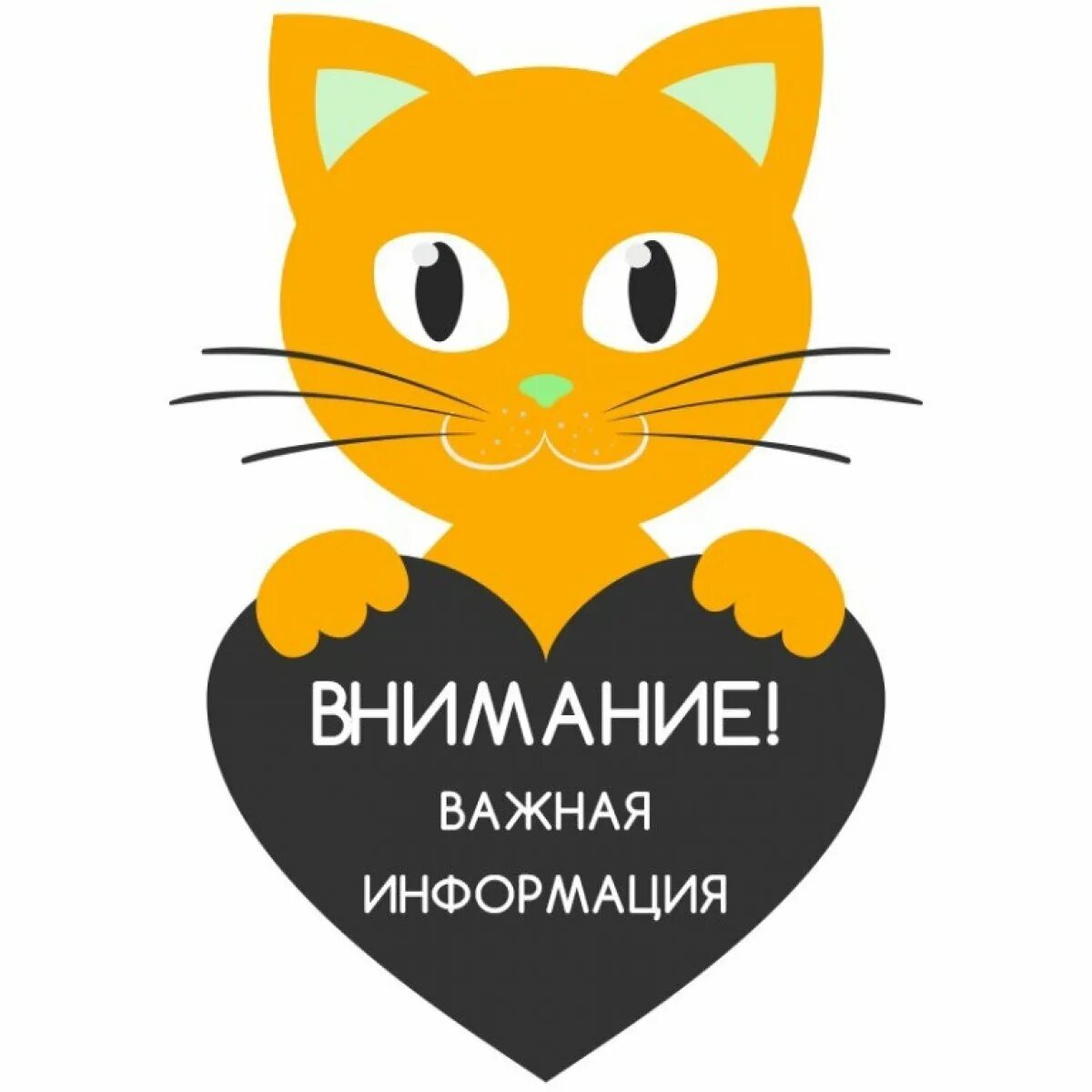 Вашему вниманию дорогие друзья