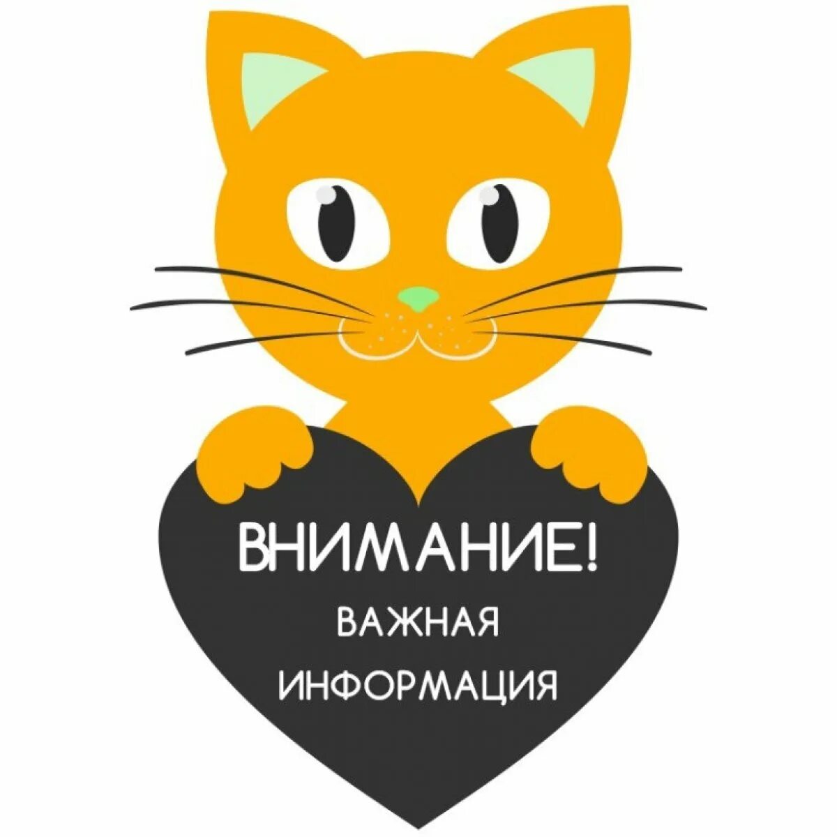 Внимание котик. Важная информация котик. Обратите внимание. Внимание важная информация. Attention friends